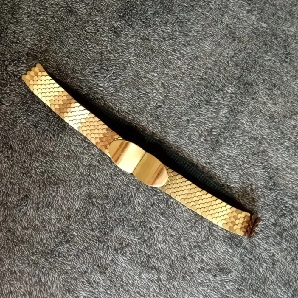 Vintage brass/gold tone Schaffer stretch belt fish scale metal